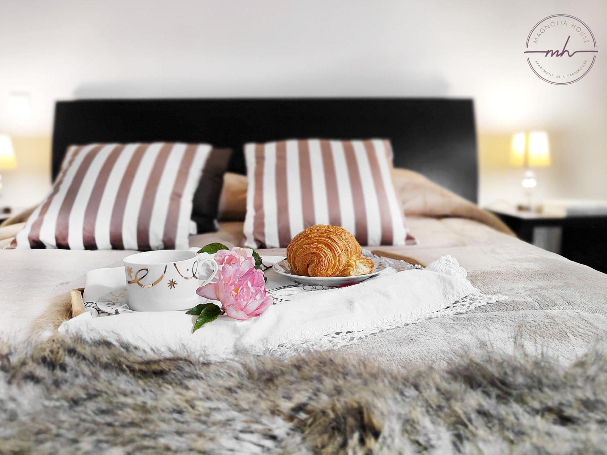 Magnolia House Apartment Santa Cruz  Bagian luar foto